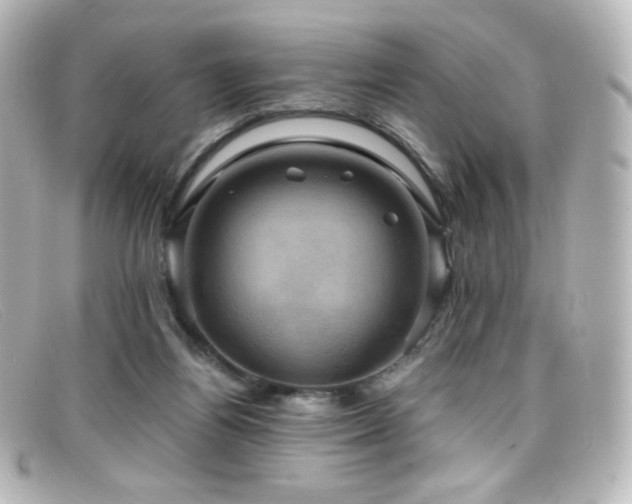 X0000099380164200805081453