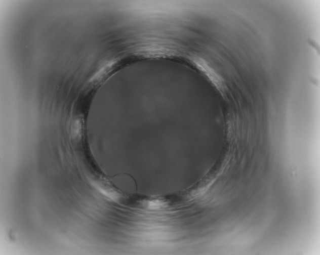 X0000099380165200805081454