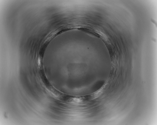 X0000099380166200805081454