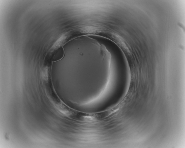 X0000099380167200805081454