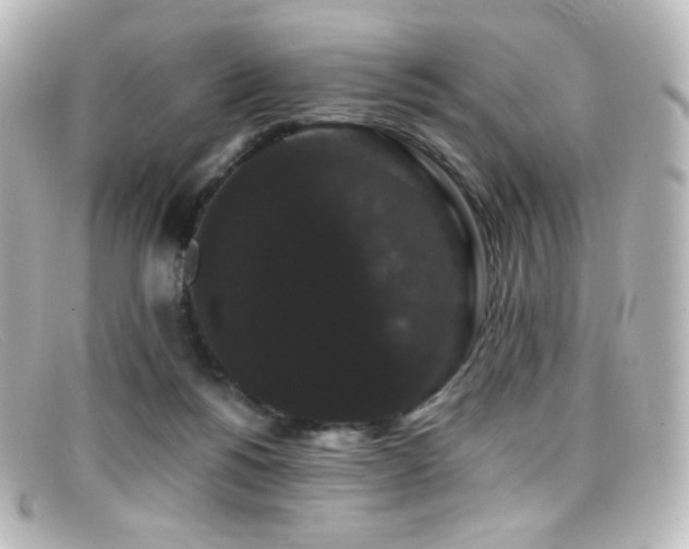 X0000099380168200805081454