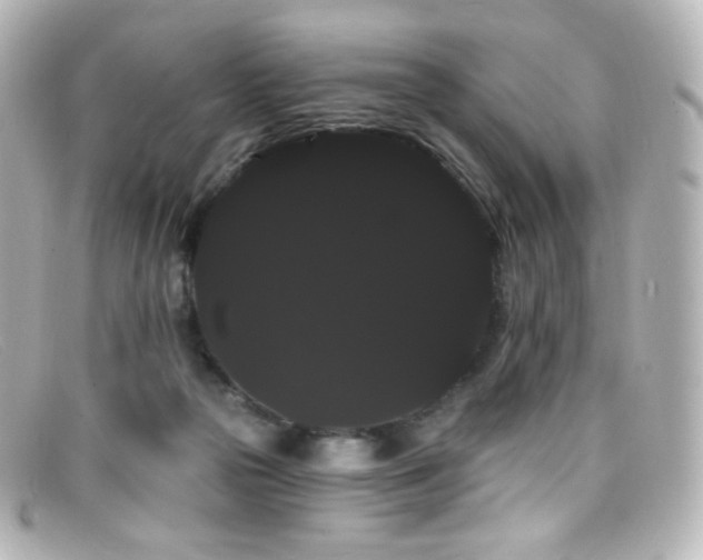 X0000099380169200805081454