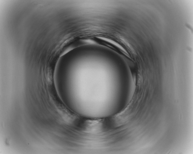 X0000099380170200805081454