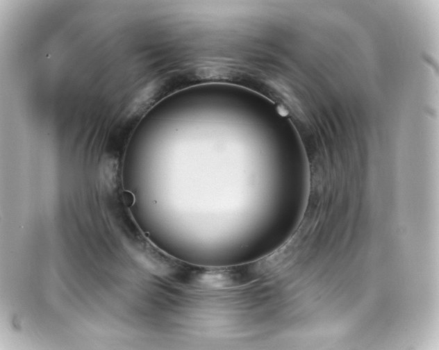 X0000099380171200805081454