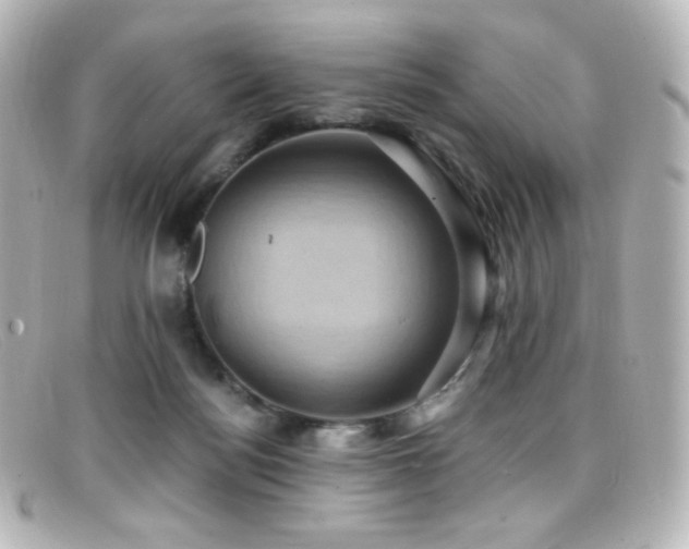 X0000099380172200805081454