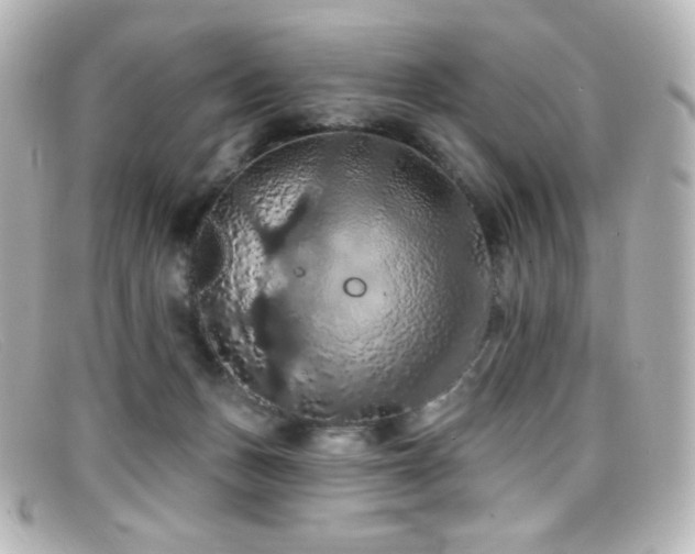 X0000099380175200805081454