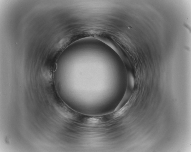 X0000099380176200805081454