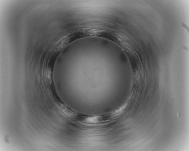 X0000099380178200805081454