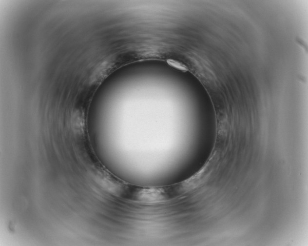 X0000099380179200805081454