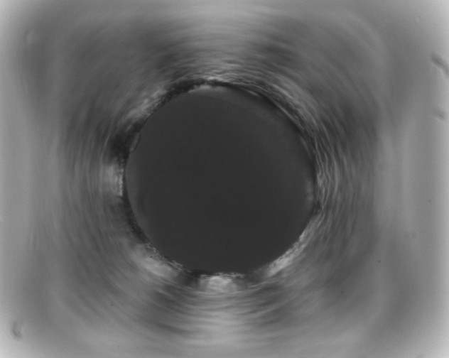 X0000099380180200805081454