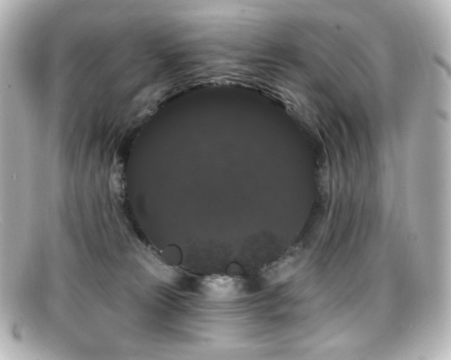 X0000099380181200805081454