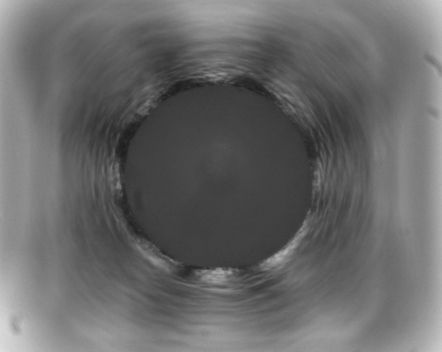 X0000099380182200805081454