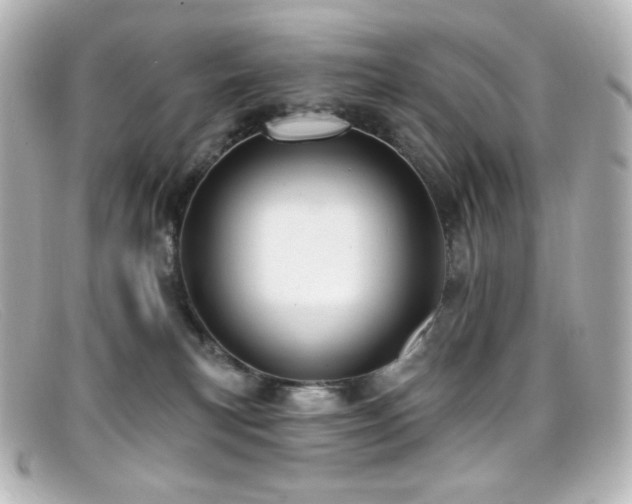 X0000099380183200805081454