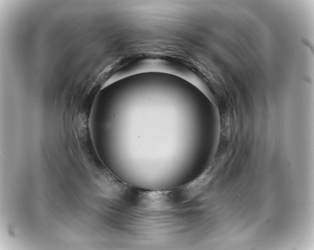 X0000099380184200805081454