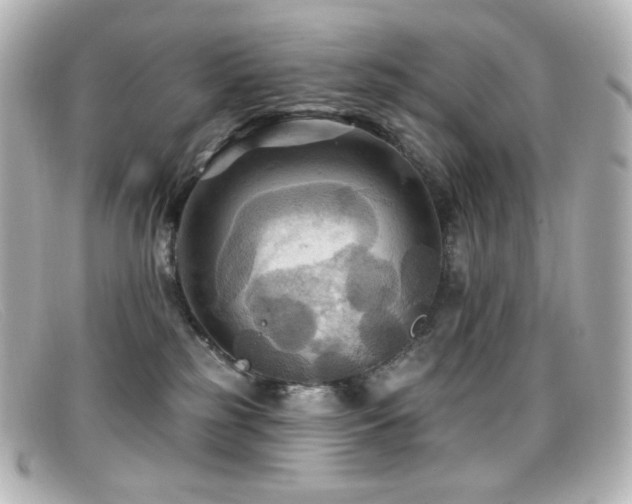 X0000099380185200805081454