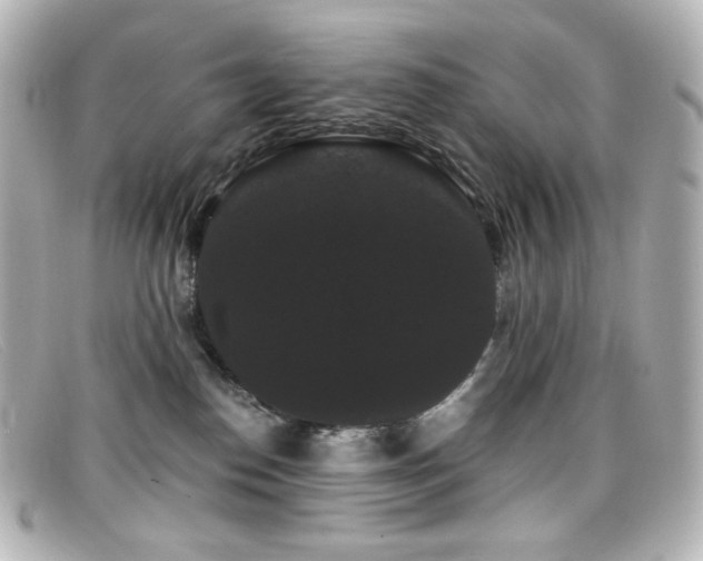 X0000099380186200805081454