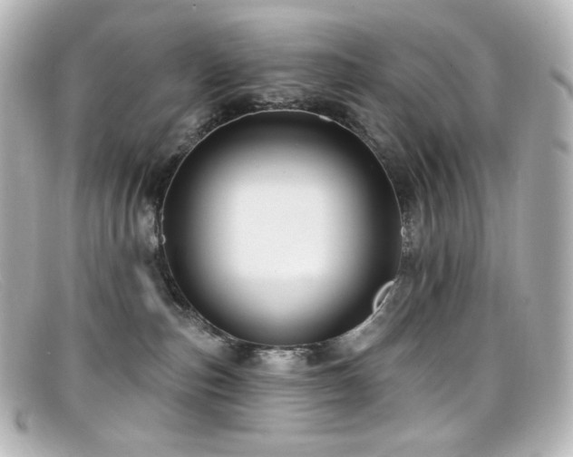 X0000099380187200805081454