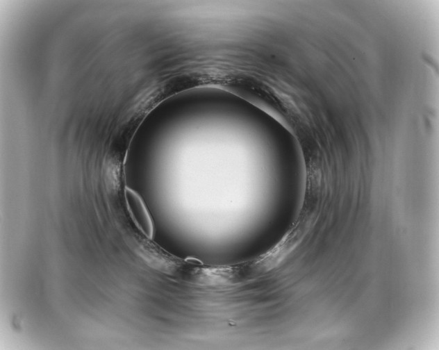 X0000099380188200805081454