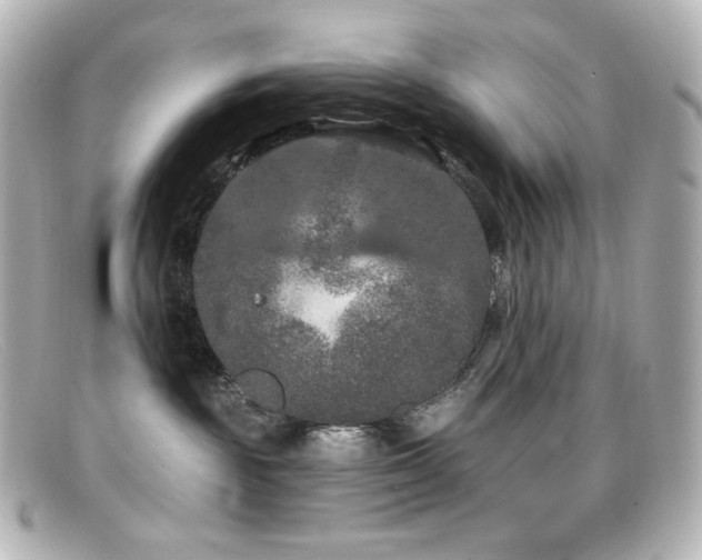 X0000099380189200805081454