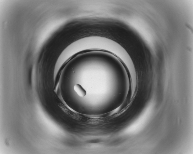 X0000099380190200805081454