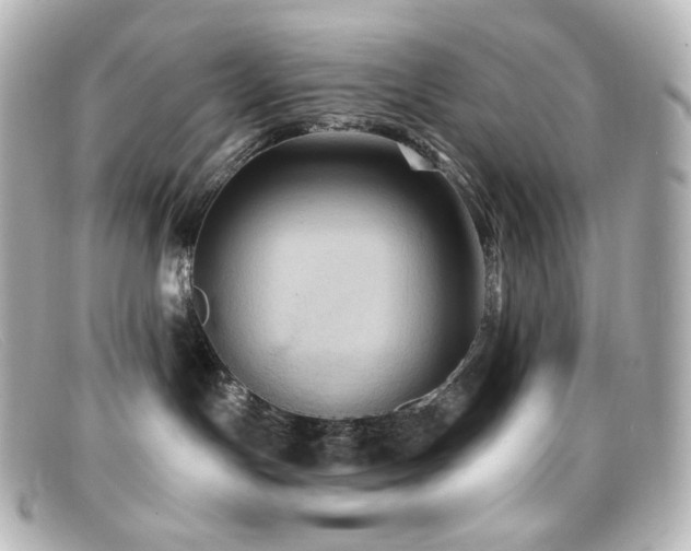 X0000099380191200805081454