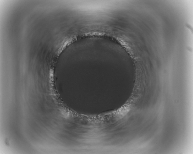 X0000099380192200805081454