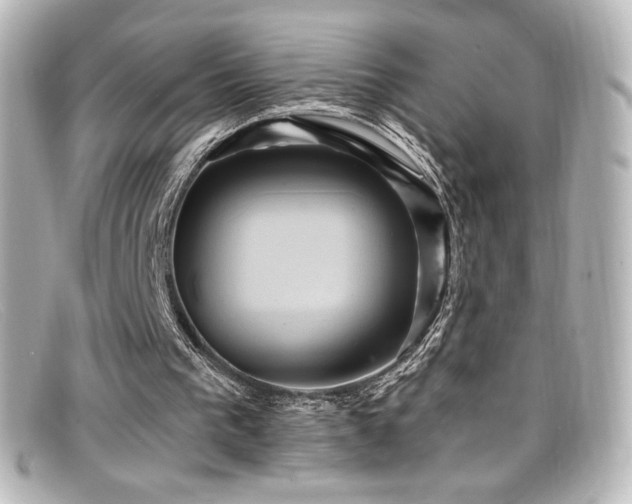 X0000099380193200805081453