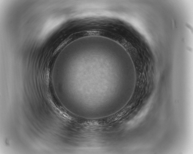 X0000099380194200805081453