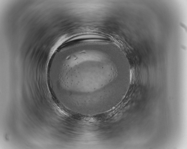 X0000099380195200805081453