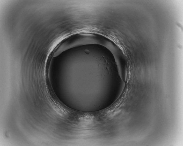 X0000099380196200805081453