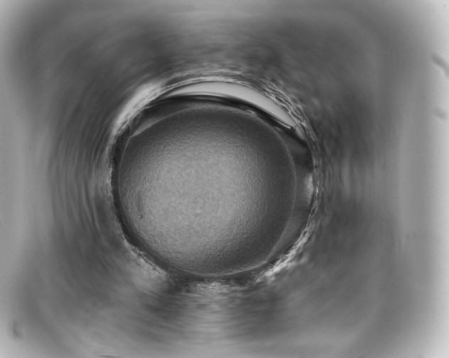 X0000099380197200805081453