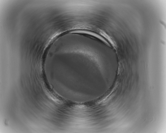 X0000099380203200805081453