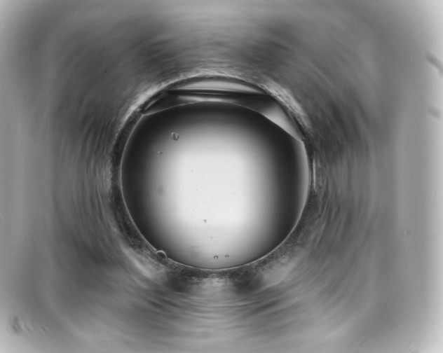 X0000099380204200805081453