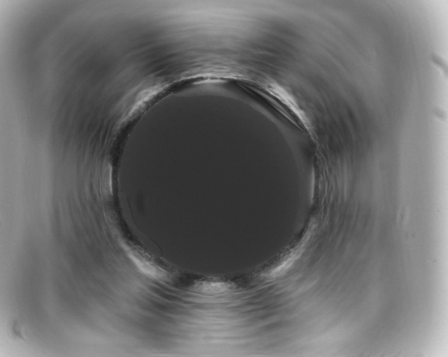 X0000099380205200805081453