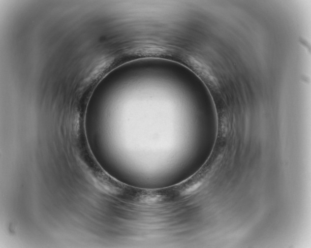 X0000099380206200805081453