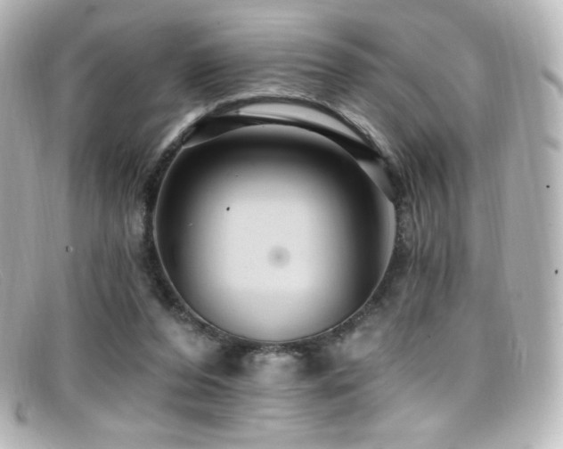 X0000099380208200805081453