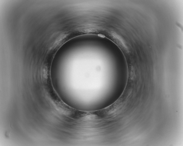 X0000099380210200805081453