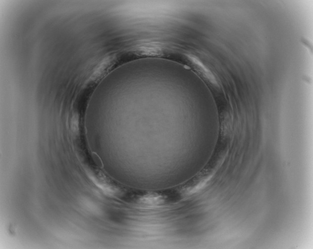 X0000099380213200805081453