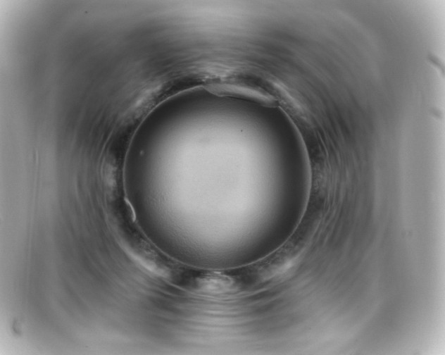 X0000099380215200805081453