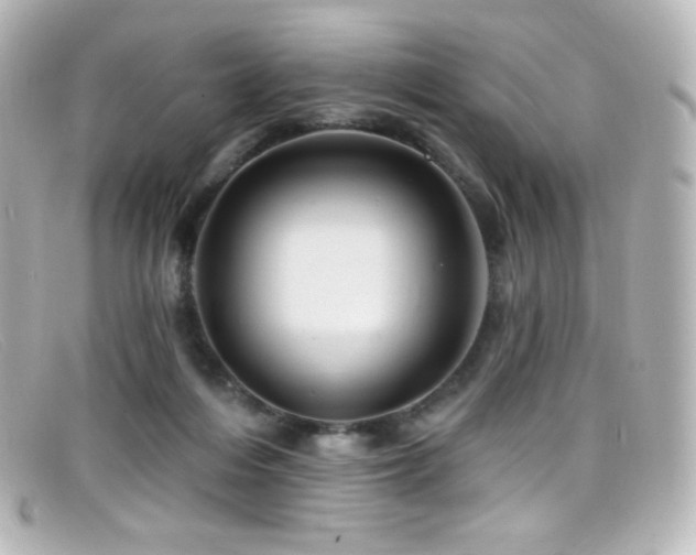 X0000099380216200805081453