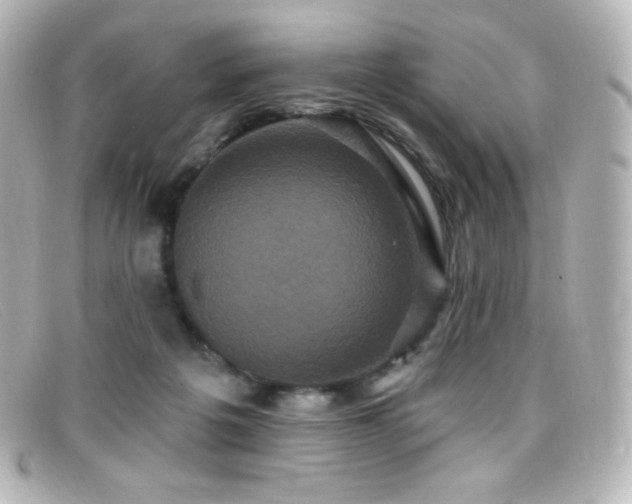 X0000099380217200805081453