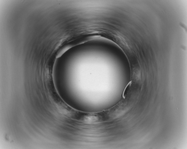 X0000099380220200805081453