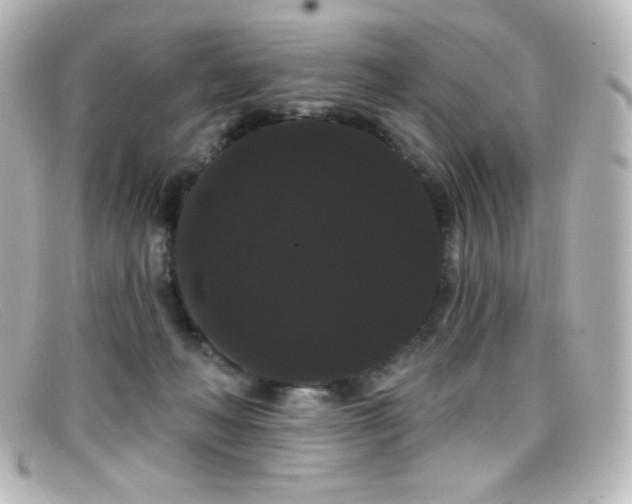 X0000099380222200805081453