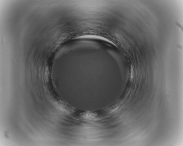 X0000099380223200805081453