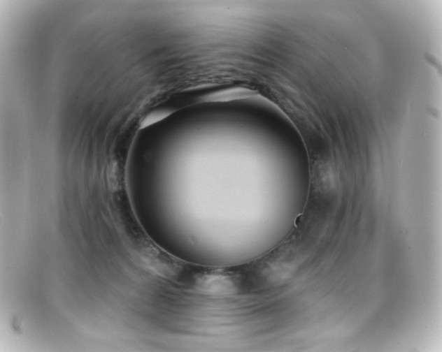 X0000099380224200805081453