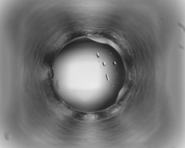 X0000099380225200805081453