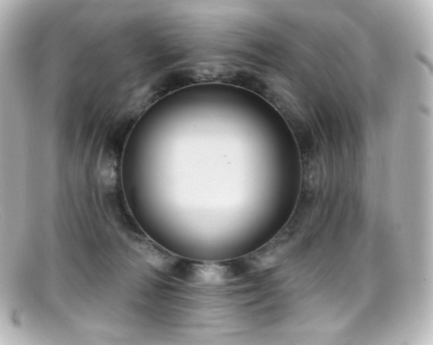 X0000099380226200805081453