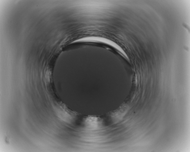 X0000099380227200805081453