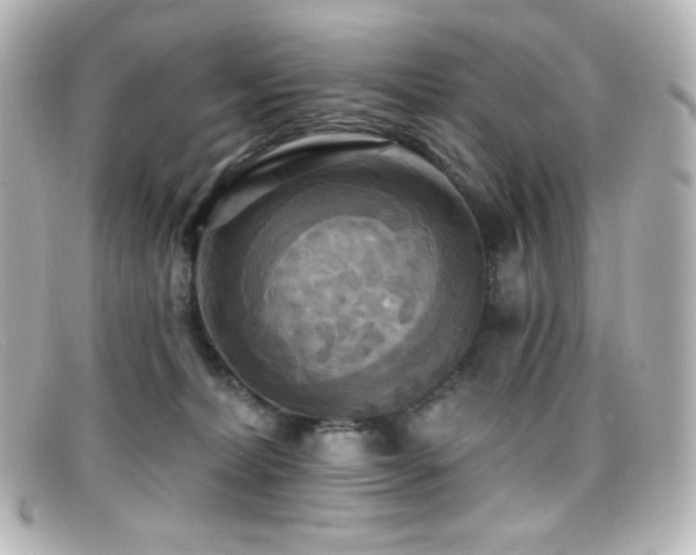 X0000099380228200805081453