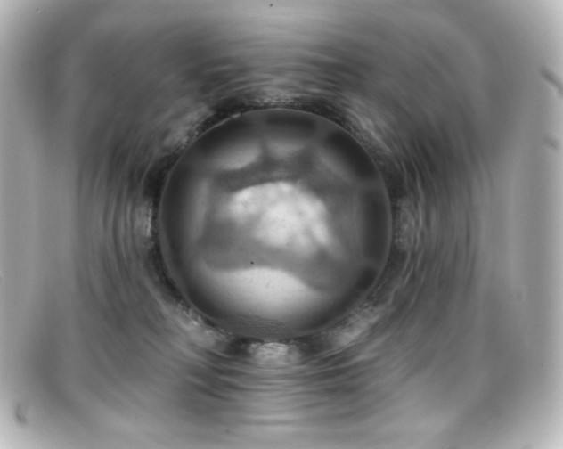 X0000099380230200805081453